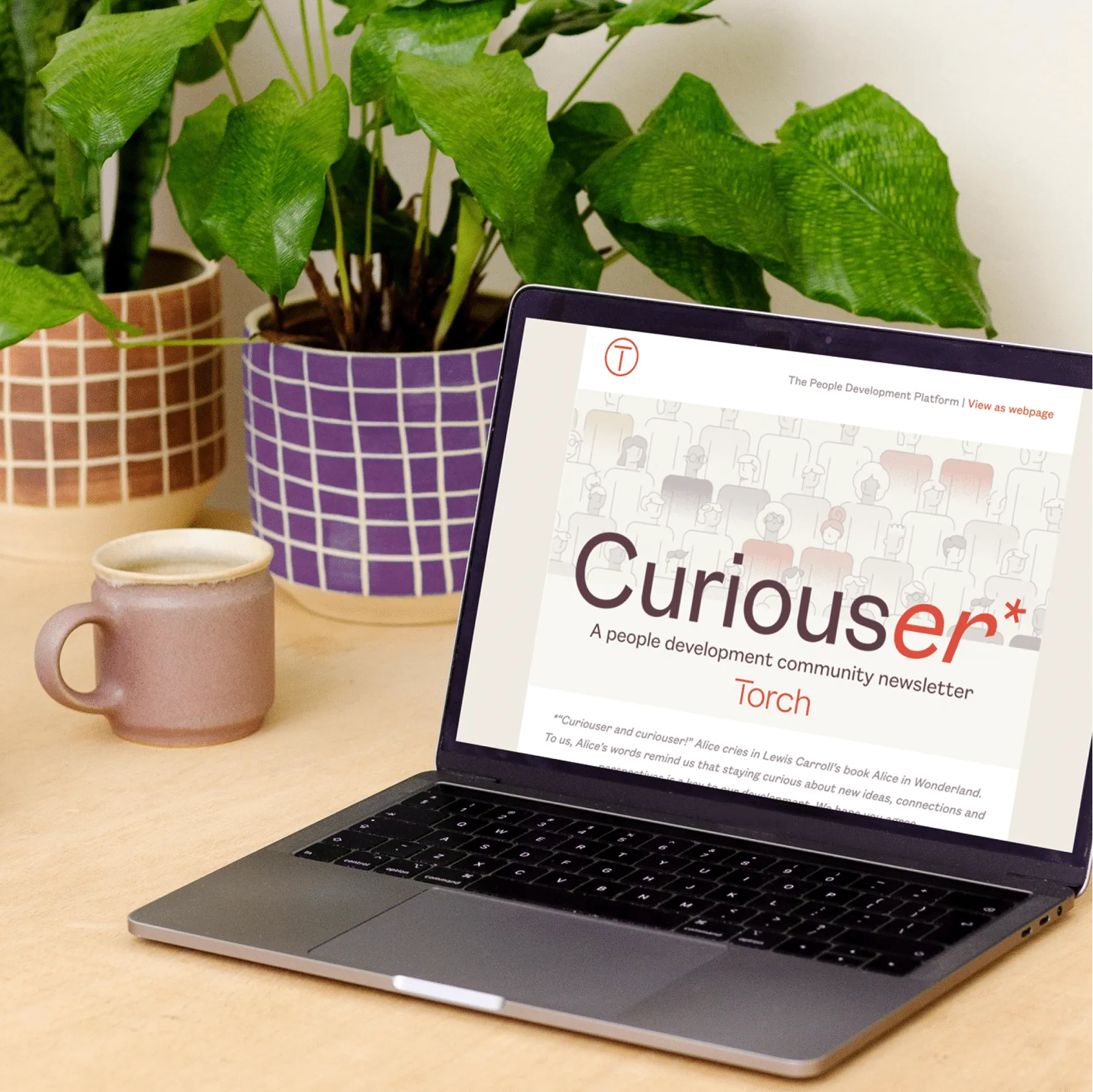 What is Curiouser? Inside our people development community newsletter.