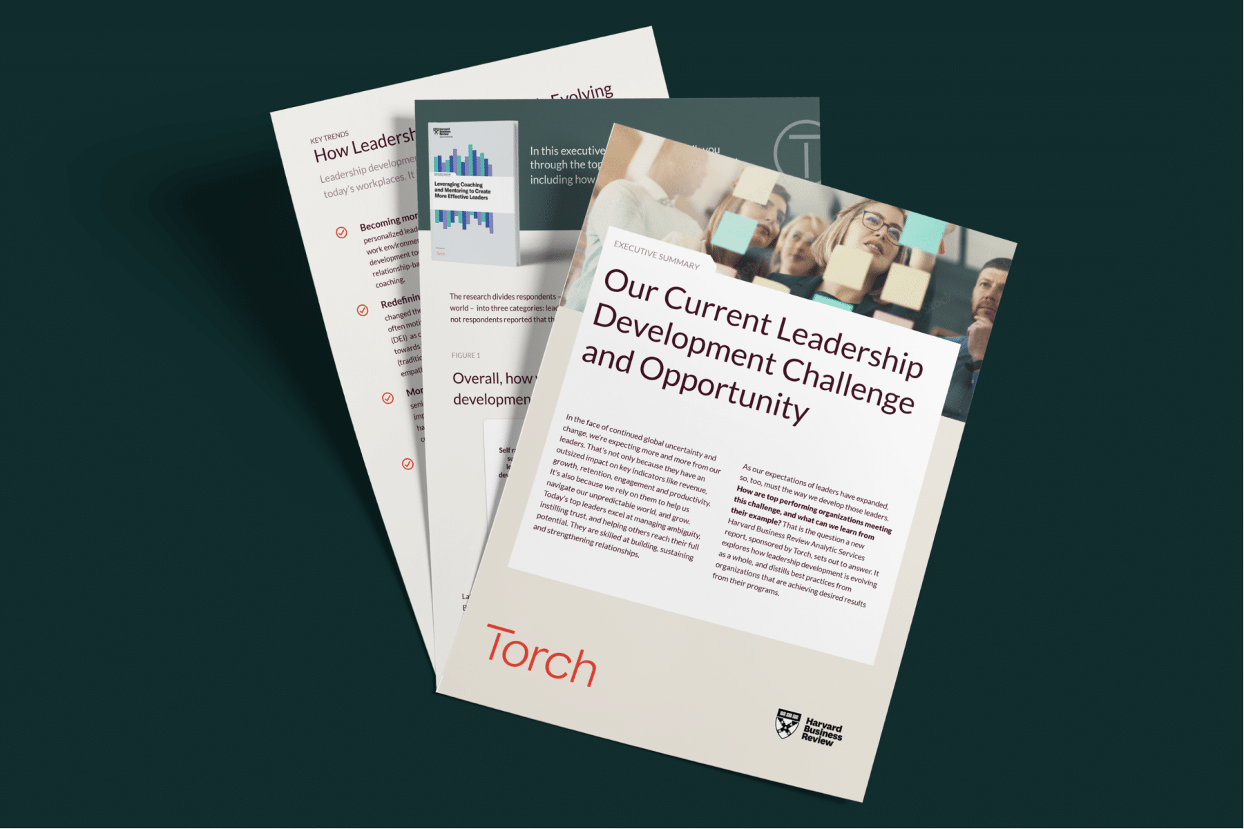 Executive Summary: Harvard Business Review Analytic Services Report