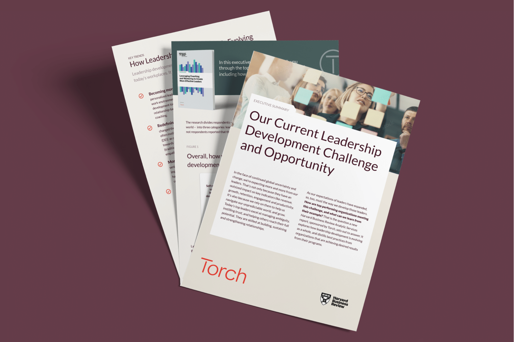 New Research: How Top Companies Get Results from Leadership Development Programs